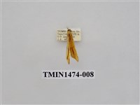 藏品(尺蠖蛾科)的圖片